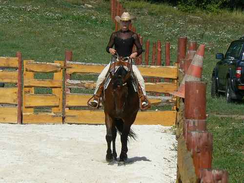 img00004.jpg