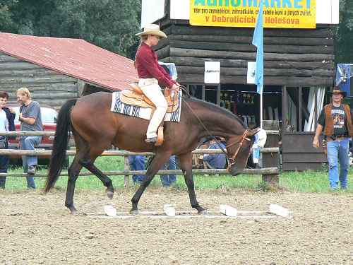 img00002.jpg