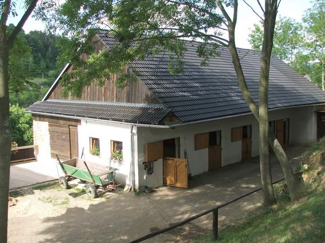Stje...